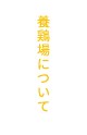 養鶏場について